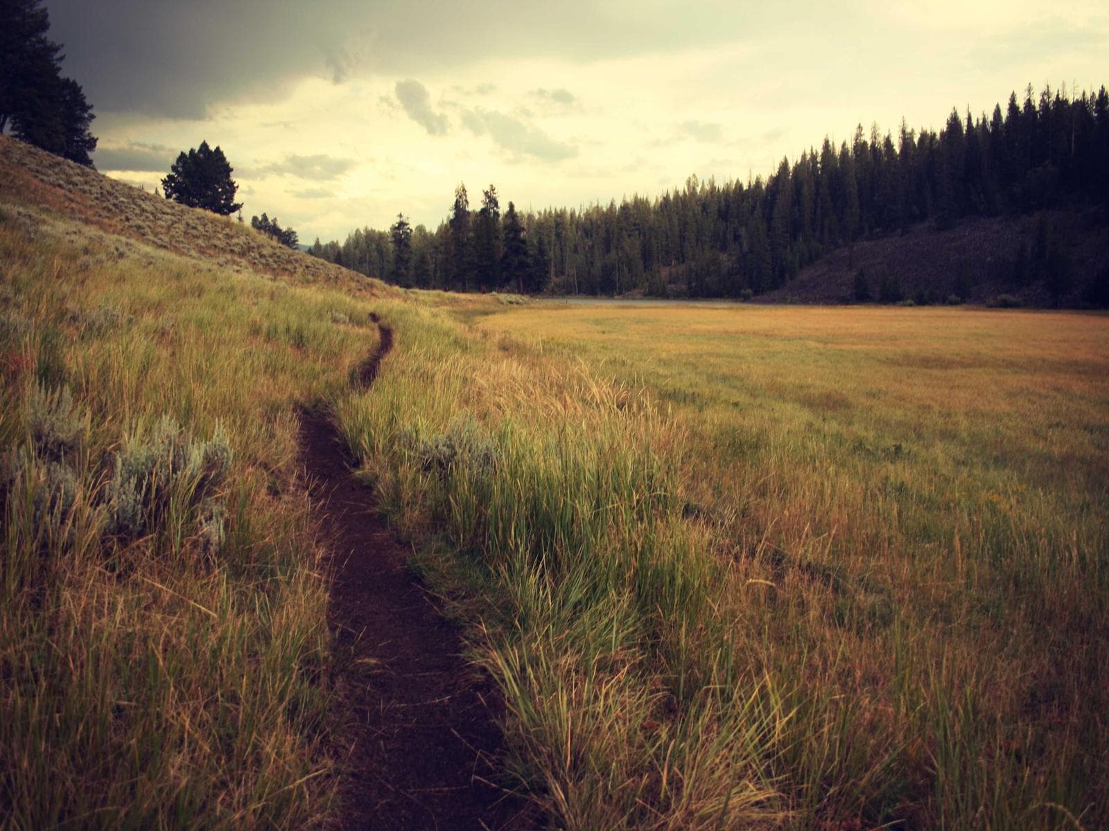 An empty café table with two cups, one half-finished.